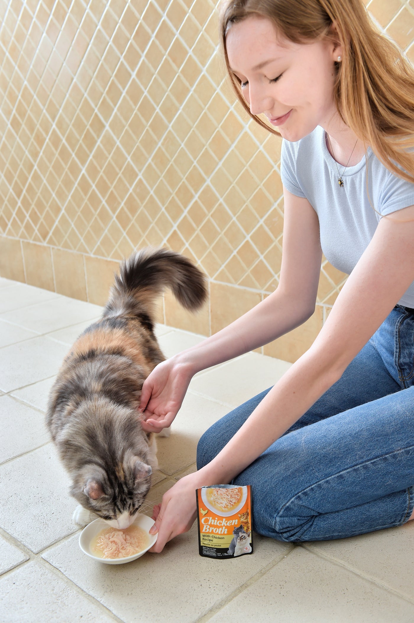 Wet Cat Food